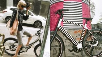 Gazelle Curb