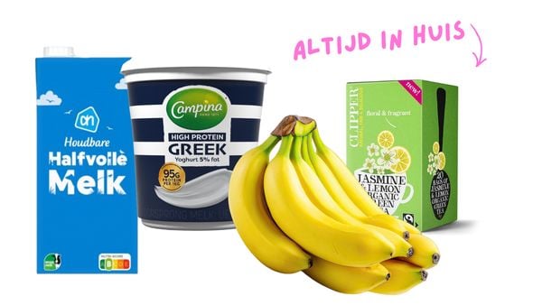 HEADERS WEBSITE - 2026-03-13T111345.789