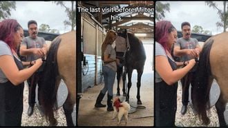 dieren in florida orkaan Milton