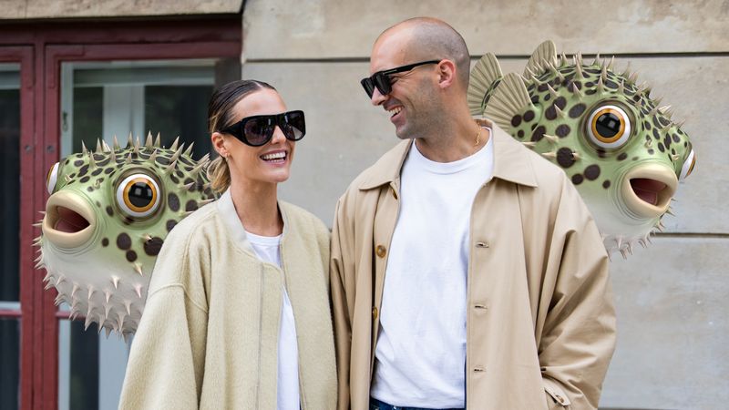 kogelvis puffer fish ergst persoon daten