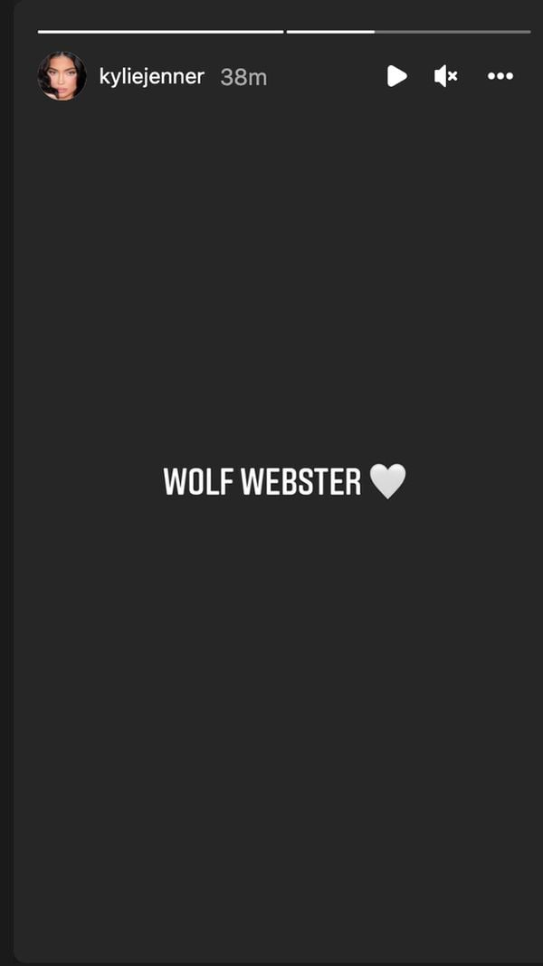 Kylie Jenner Wolf Webster