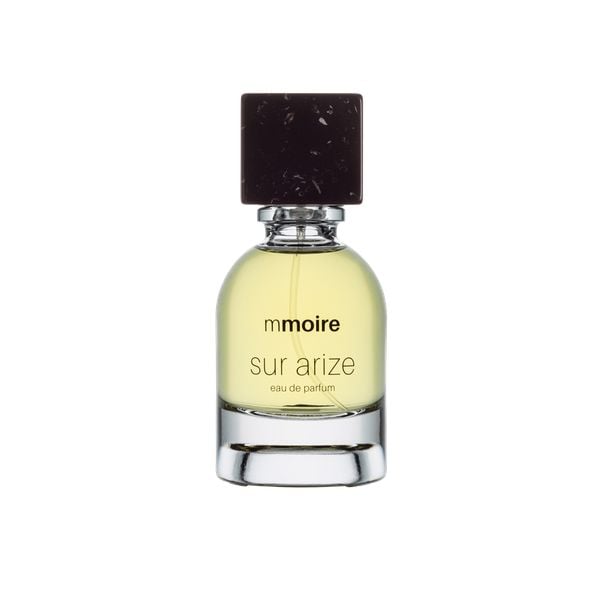 mmoire sur arize