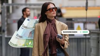 wat houdt basisinkomen in verkiezingen 2025