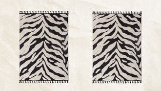zebra print kleed h&m