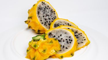 geel dragon fruit tiktok