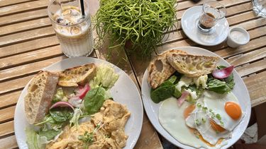 voeding met proteine