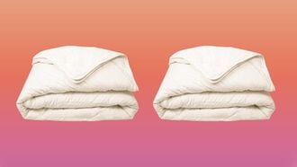 Lidl vier-seizoenen-dekbed aanbieding