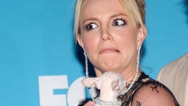 Britney Spears doet nieuwe aankoop na aankondiging van scheiding - een hond