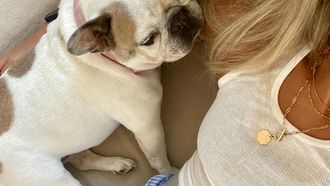 schoonouders hond oppassen