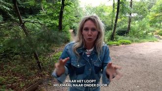 Stroom eco