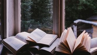 boeken in een raam