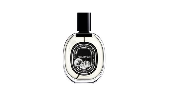 parfums vijgen trend 2025