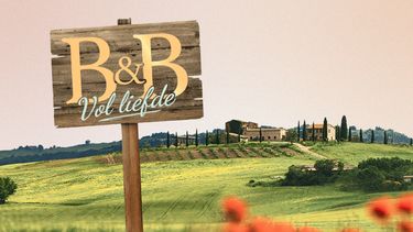 vergoeding bb vol liefde