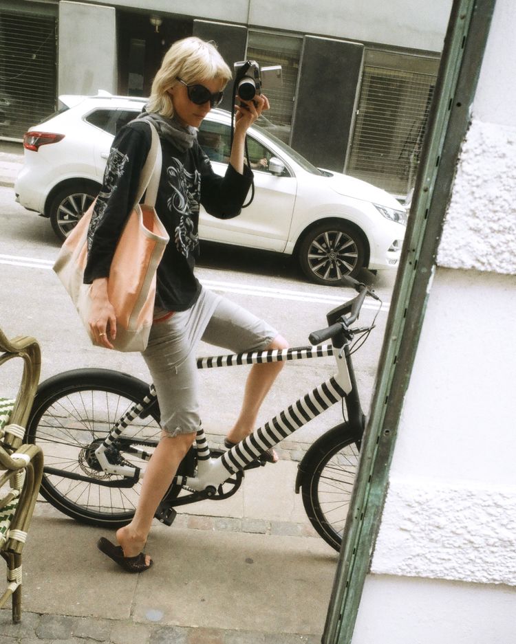 gazelle