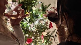 feestdagen liever zonder neefjes nichtjes