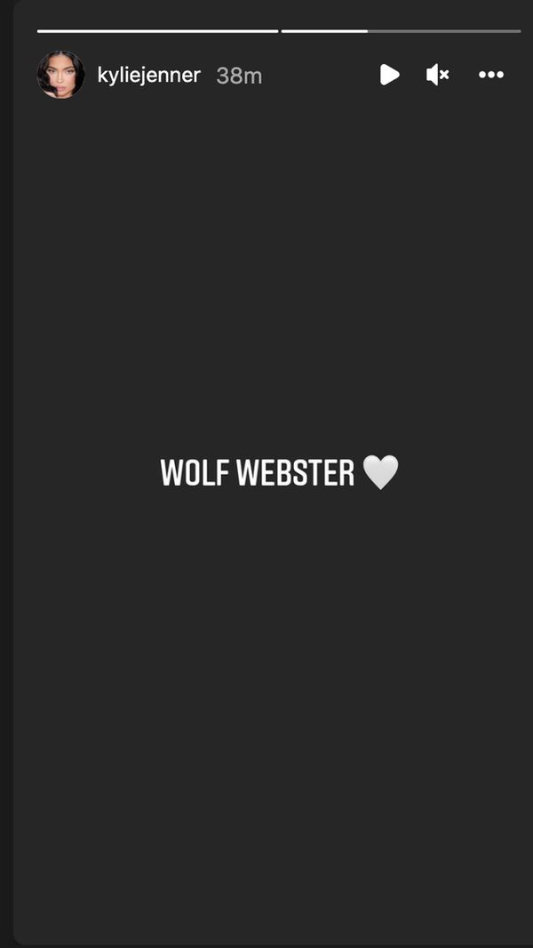 Kylie Jenner Wolf Webster