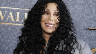 Hoeveel verdiende Cher met haar wereldhit Believe?
