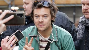 Harry Styles stalker georgemasontv geheim tiktok-account