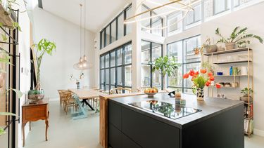 Loft Amsterdam te koop