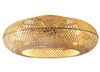 Plafondlamp met ventilator