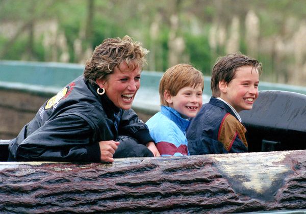 Princes Diana in pretpark met William en Harry