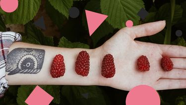 fruit tattoo