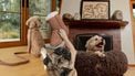 UGG honden collectie