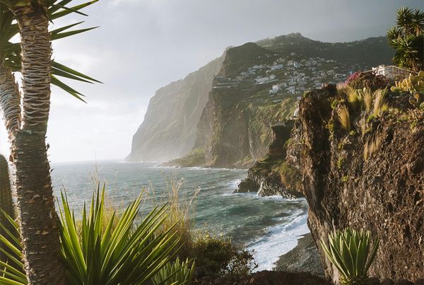 madeira hawaii van europa dupe