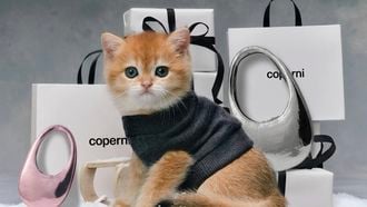 Coperni bewijst dat kittens het ingredient zijn voor een campagne