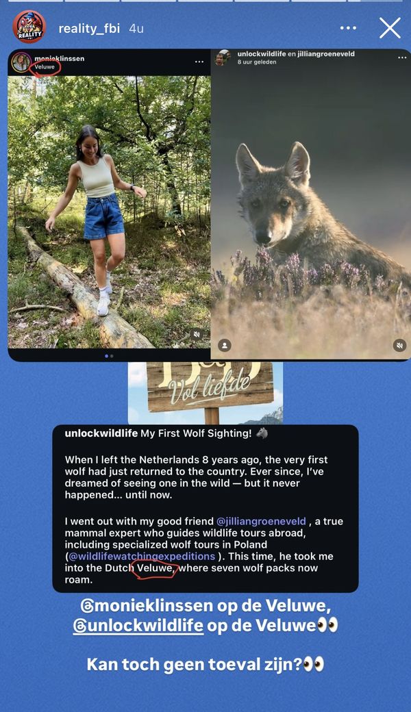 dick moniek veluwe relatiestatus