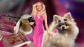 Legally Blonde