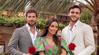 bachelor