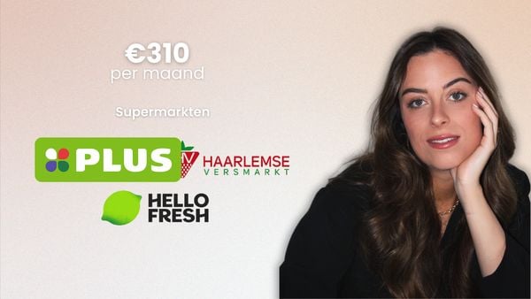 maandelijkse kosten boodschappen