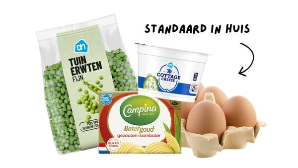 standaard in huis veggilaine ghislaine